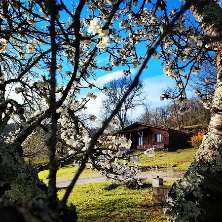 캠프장 Les Nids De Bonnan Milhars