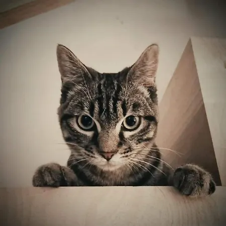 Les Nids De Bonnan 캠프장