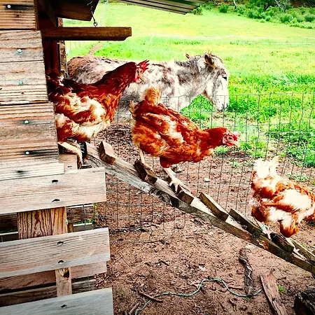 캠프장 Les Nids De Bonnan