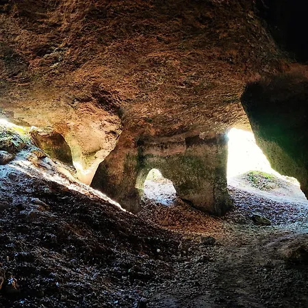 Les Nids De Bonnan Milhars