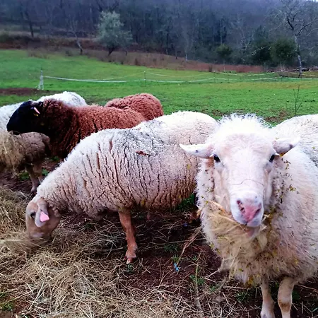 캠프장 Les Nids De Bonnan *