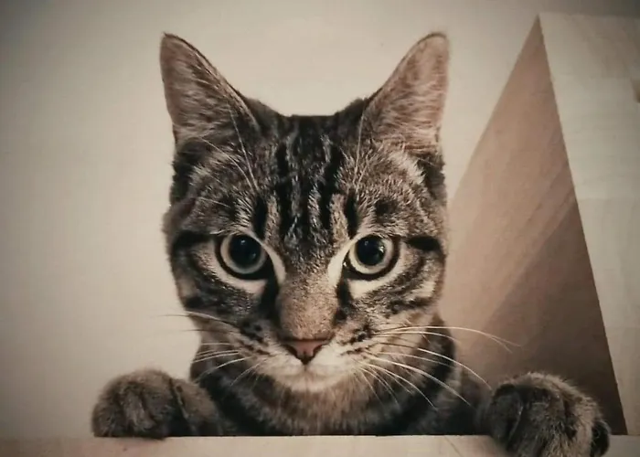 Les Nids De Bonnan Camping