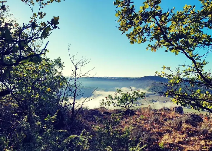 Les Nids De Bonnan Camping Milhars