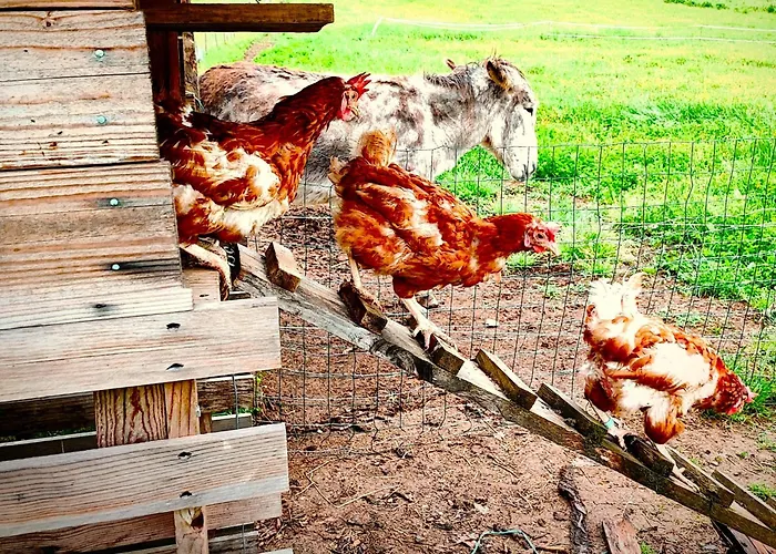 Camping Les Nids De Bonnan