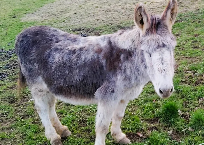 Camping Les Nids De Bonnan *