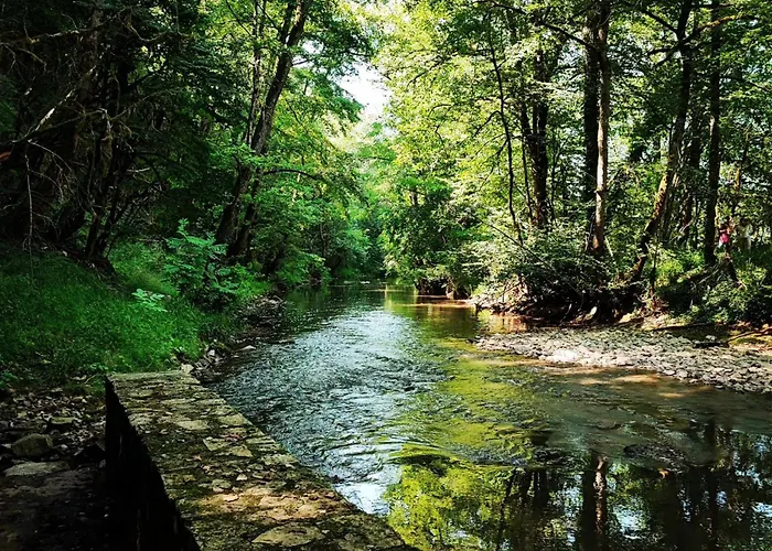 Les Nids De Bonnan *