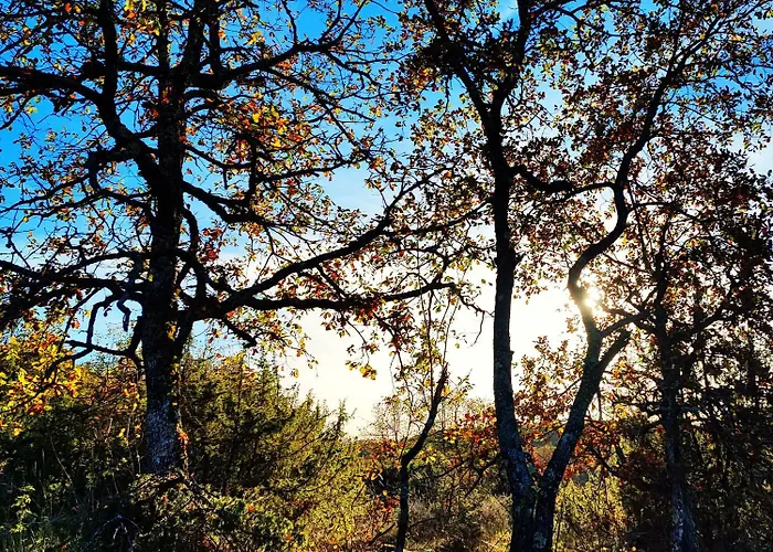 Camping Les Nids De Bonnan Milhars