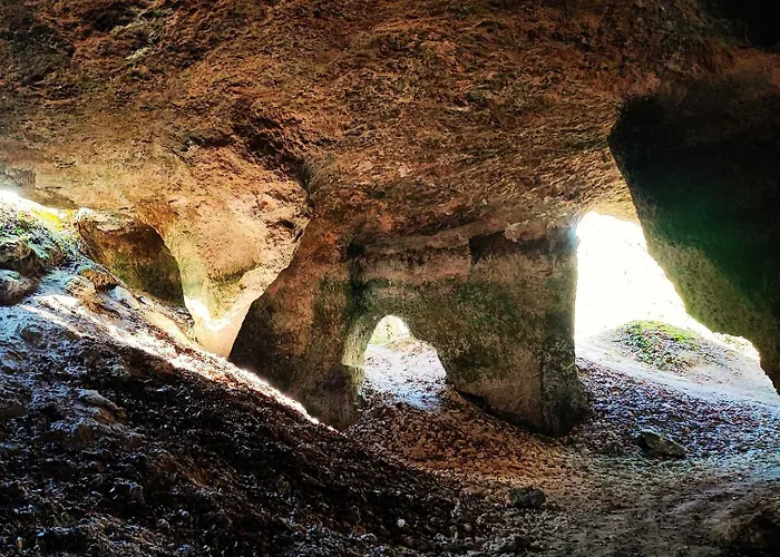 Les Nids De Bonnan Milhars