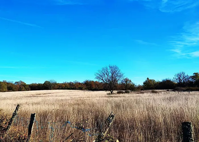 Les Nids De Bonnan Camping