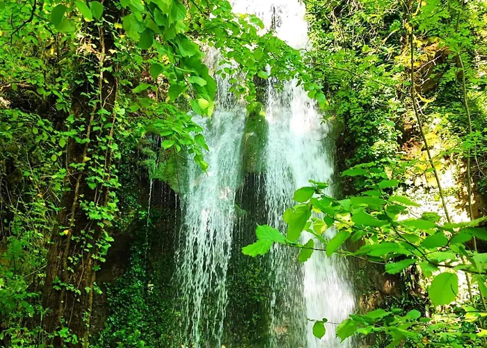 Les Nids De Bonnan Camping Milhars