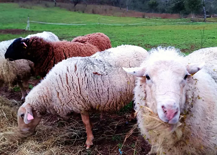 Camping Les Nids De Bonnan *