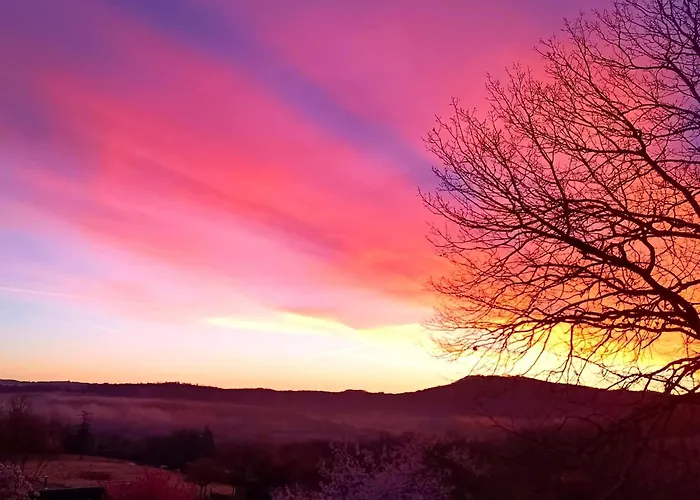 Les Nids De Bonnan *